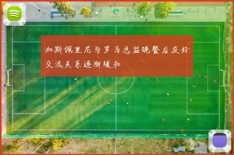 加斯佩里尼与罗马总监晚餐后友好交流关系逐渐缓和