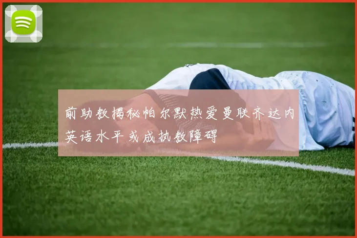 前助教揭秘帕尔默热爱曼联齐达内英语水平或成执教障碍